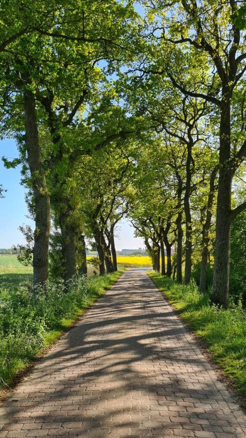 Ferienwohnung Baltrum Auf Dem Elisenhof Hagermarsch Екстериор снимка